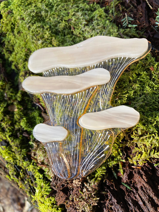 Pink Oyster Mushroom Window Hanger